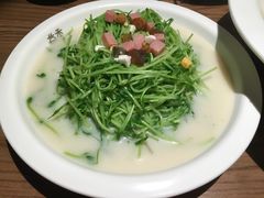 -首秀·四川料理(星耀101店)