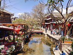 -88号小吃店·经典云南菜·地道纳西美食