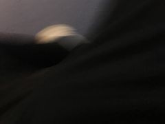 -咸宁万豪温泉谷度假区