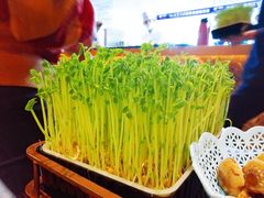 活体有机豆苗-捞神汤物料理(正大广场店)