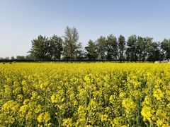 -汉长安城未央宫国家考古遗址公园