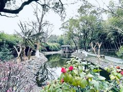 -八大山人梅湖景区