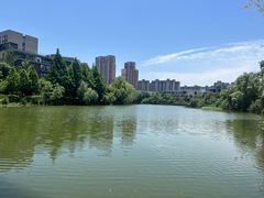 -洋湖国家湿地公园