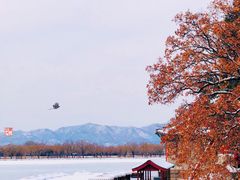 -颐和园