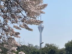 -红星桥(地铁站)