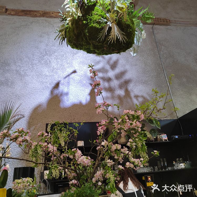 很有温度的一家小店，感觉进了植物馆了