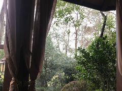 -天目湖涵田半山温泉