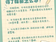 -帕帕拉兹宠物(亚洲旗舰店)