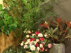 -唐沫茶兮(仓山万达金街店)
