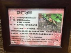 -上海大自然野生昆虫馆(东方明珠·爬宠昆虫探索中心)