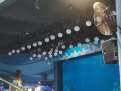 -烟台海昌鲸鲨海洋公园
