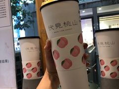 -伏小桃(明瓦廊店)