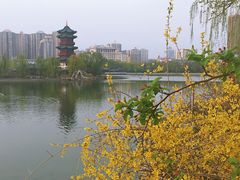 -迎泽公园