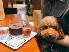 -LOOOAD COFFEE进度条(D9街区店)