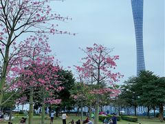 -海心沙亚运公园