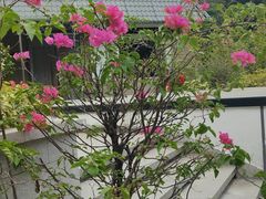 -流花苑精致潮粤菜(越秀店)
