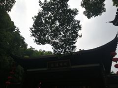 -杭州黄龙洞