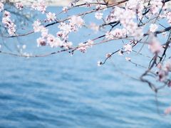 -颐和园