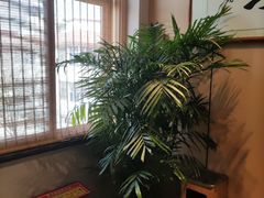 -静园乡村菜(凤鸣路店)