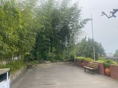 -重庆平顶山公园