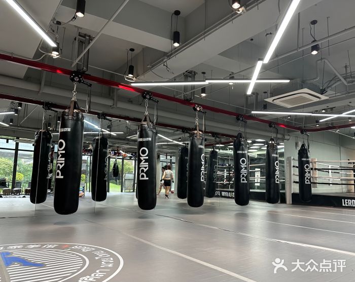 花环泰拳·勒德斯拉泰拳馆(静安店)图片