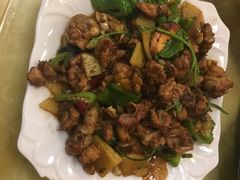 枣庄辣子鸡-台儿庄一绝运河鱼馆枣庄辣子鸡(古城西门店)