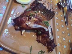 -State Bird Provisions