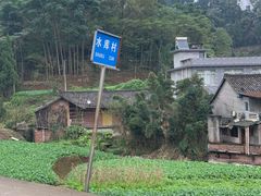 -马村鱼头