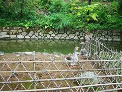 -福建鲤鱼洲酒店