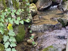 -MOJ coffee(瓯海泽雅水碓坑店)