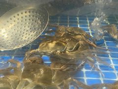 -圣罗巴海鲜自助(黑金店)