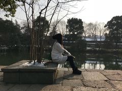-金鸡湖桃花岛