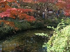 -秋霞圃