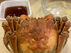 清蒸大闸蟹-王宝和酒家(黄浦店)