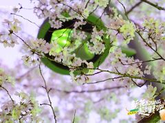-昆山招商花园城