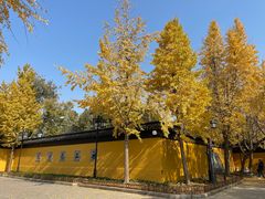 -西园戒幢律寺