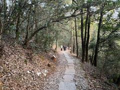 -西湖风景区十里琅珰-五云山