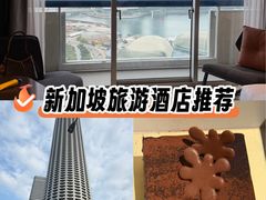 -新加坡瑞士史丹福酒店
