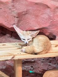 -Zoolung Zoolung动物主题公园(海信广场店)