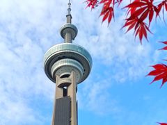 -南京古林公园