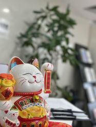 -张小野·专业半永久纹眉