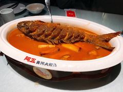 -阿五黄河大鲤鱼(纬三路店)