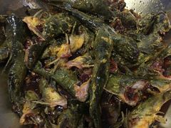 -金海椒罐罐鲢鱼(东方桂苑店)