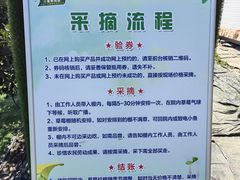 -小鱼草莓采摘园农家乐·小鱼餐厅