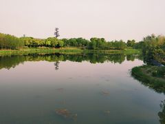 -尚贤河湿地