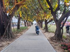 -南沙天后宫景区