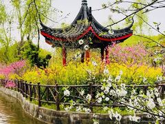 -南汇桃花村
