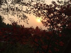 -紫金山天文台