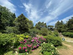 -国家植物园南园