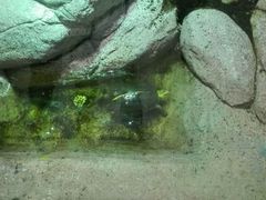 android_upload_pic-福州罗源湾海洋世界旅游区